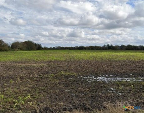 Unrestricted Land Near Edna, TX