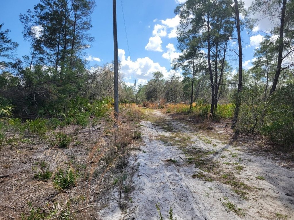 Picture 5