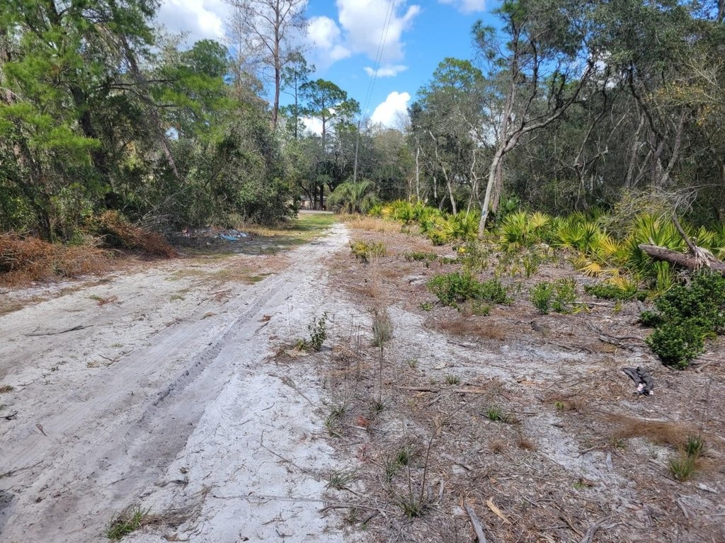 Picture 6