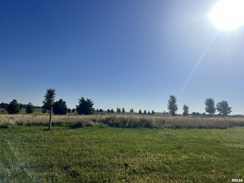 Residential Land in Metamora Fields