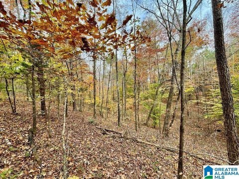 LAND/LOTS, WARRIOR, AL