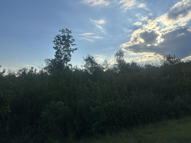 Picture 4