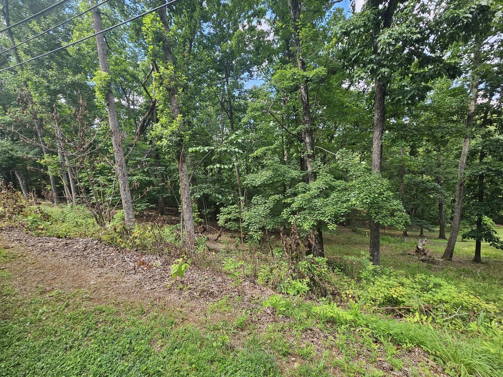 Picture 3