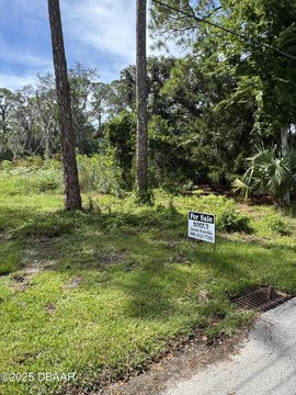 Port Orange Land For Sale