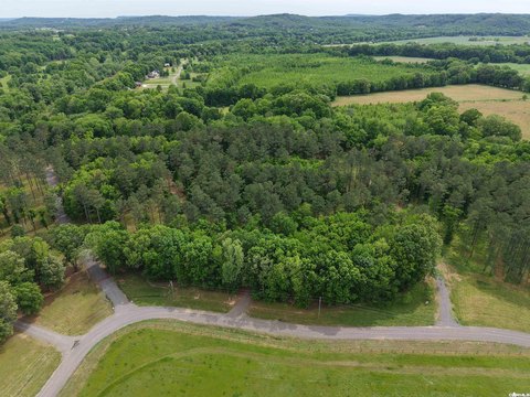 Vacant Land, Pangburn, AR