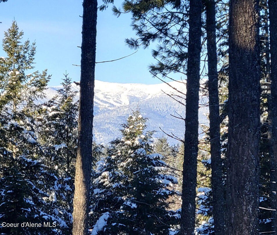 Idaho Club Land with Views