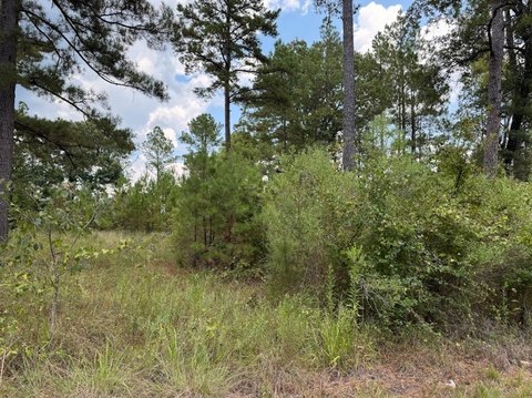 One Acre Land in Benton