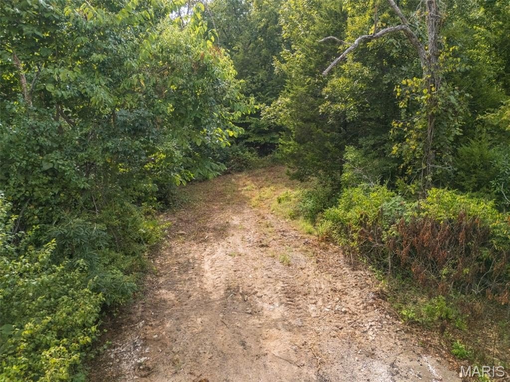Picture 12