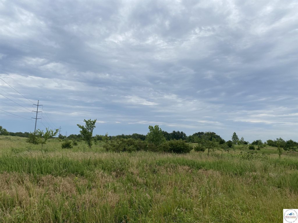 Picture 19