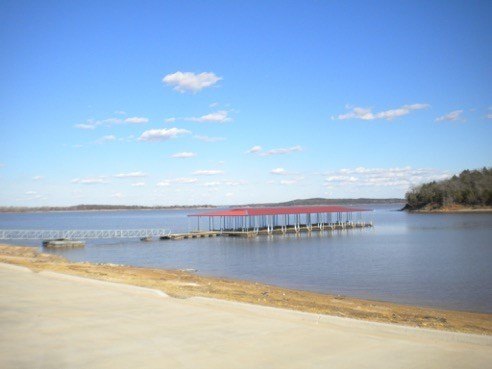 Picture 7