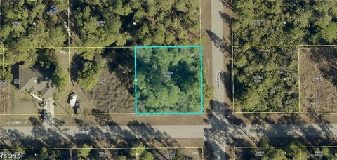 LAND - Alva, FL