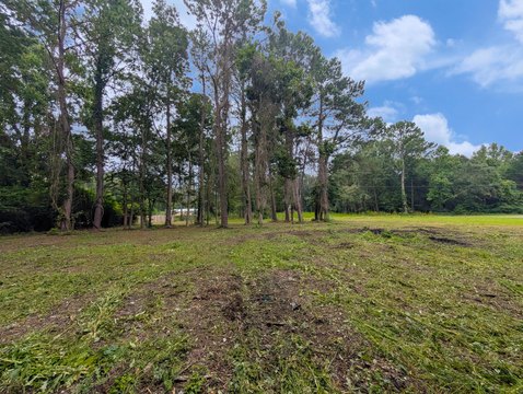 Land Near McClellanville Historic District