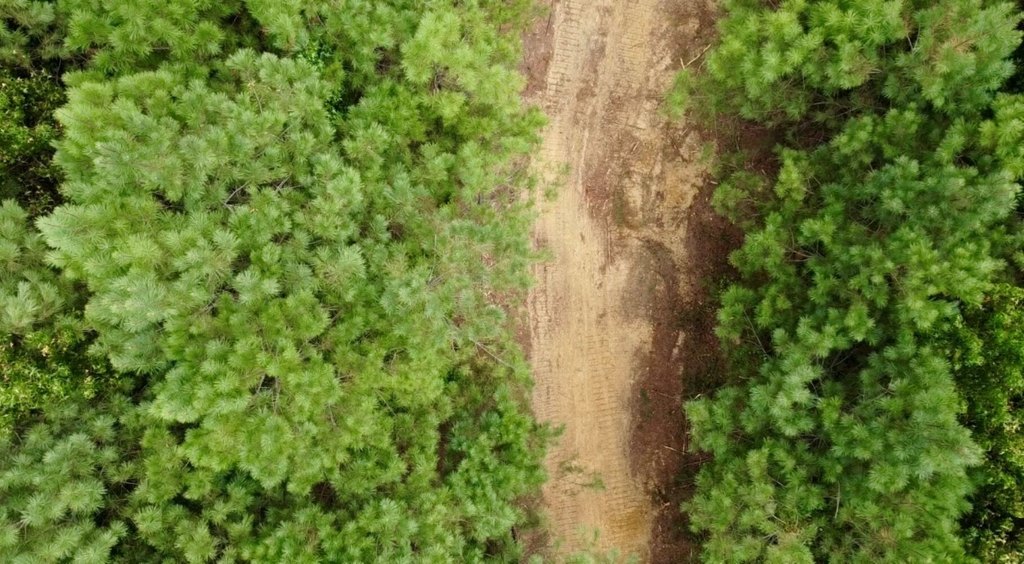 Picture 4