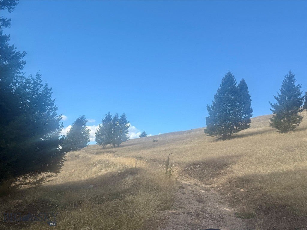 Picture 10