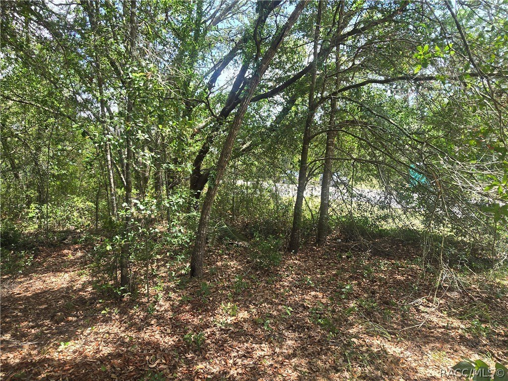 Picture 12