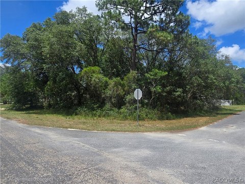 LAND - Citrus Springs, FL