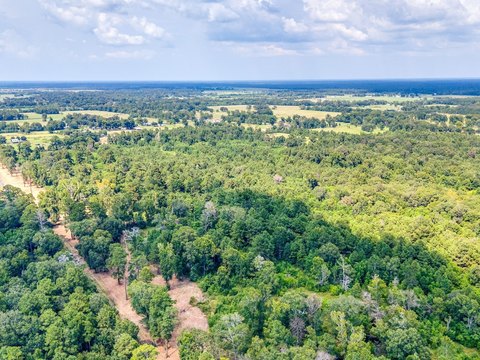 Unrestricted Land in Liberty County