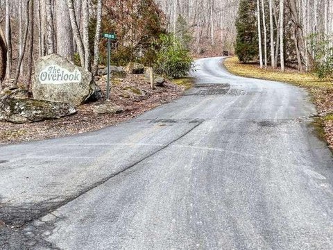 Wooded Mountain-View Home Lot