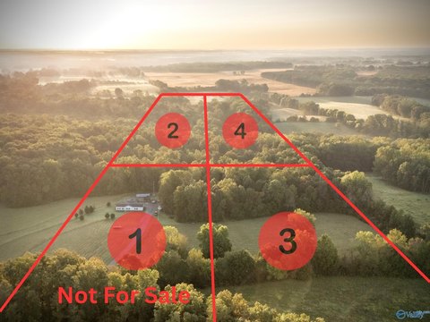 Wooded Acreage in Anderson, Alabama