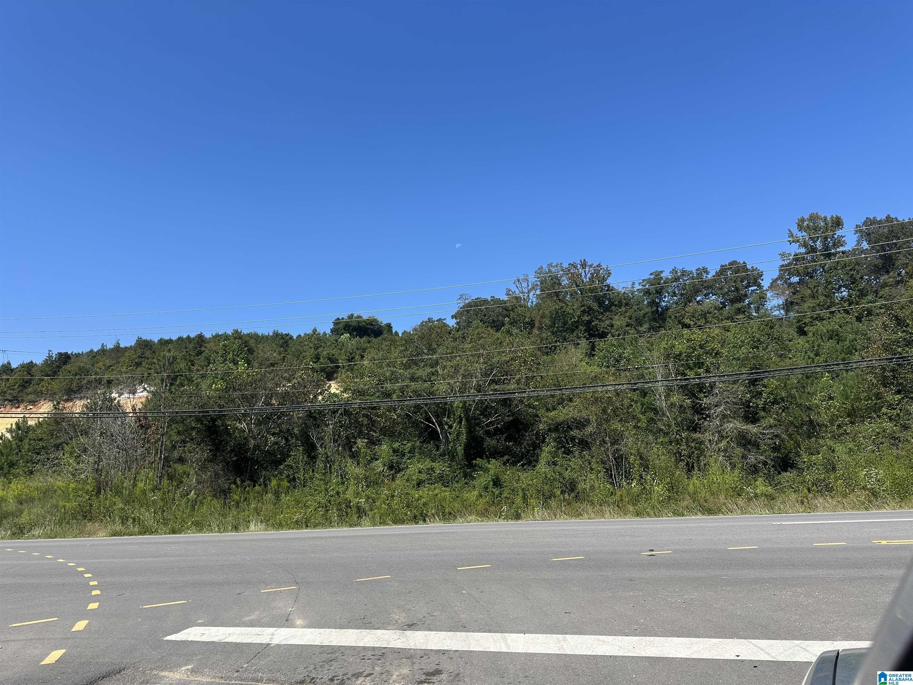 20 Acre Land in Trussville