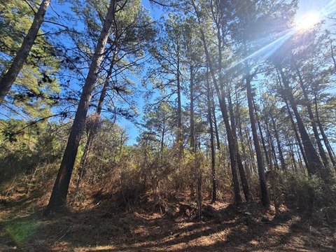 Secluded Wooded Acreage Available