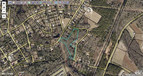 Versatile Land Parcel in Swainsboro