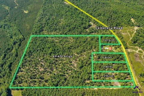 Wooded Lot in Oglethorpe, GA
