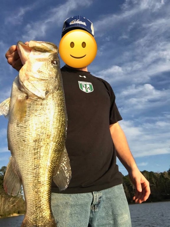 Picture 15