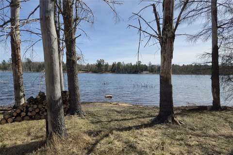 Pigeon Lake Waterfront Land Parcel