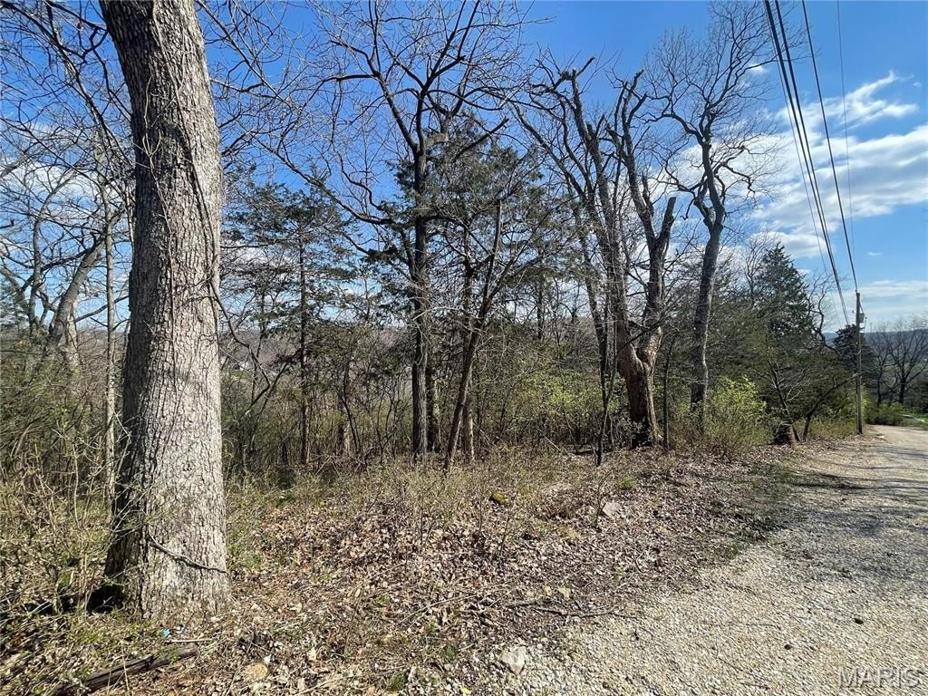 Picture 18