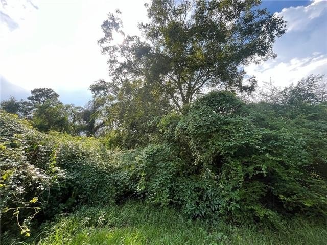 Picture 8