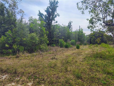 Vacant Residential Lot with Well & Septic