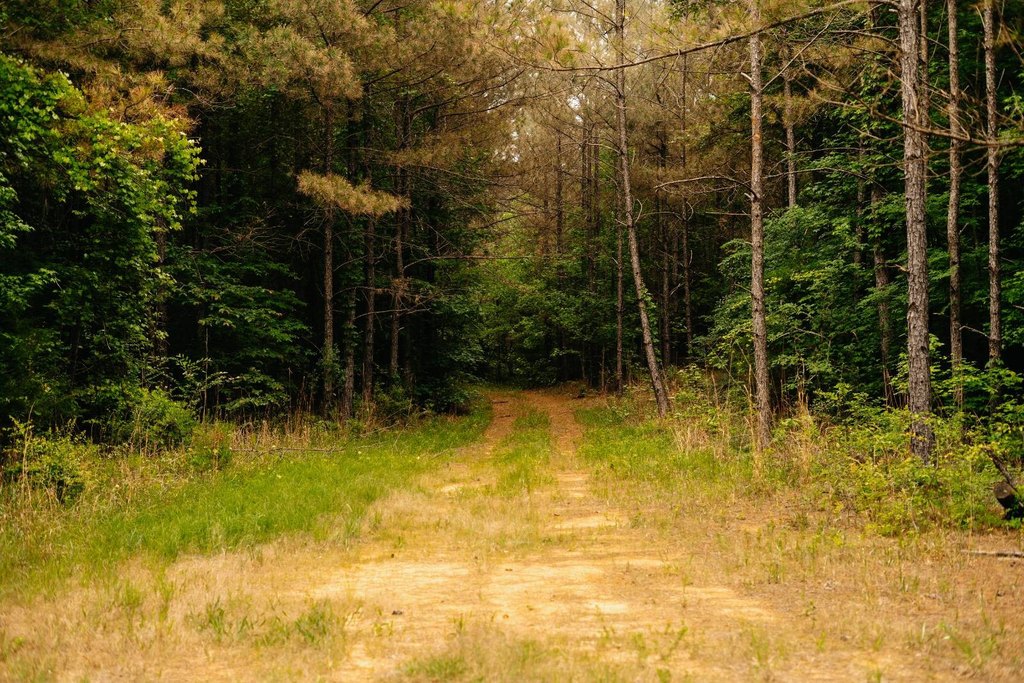 Picture 31