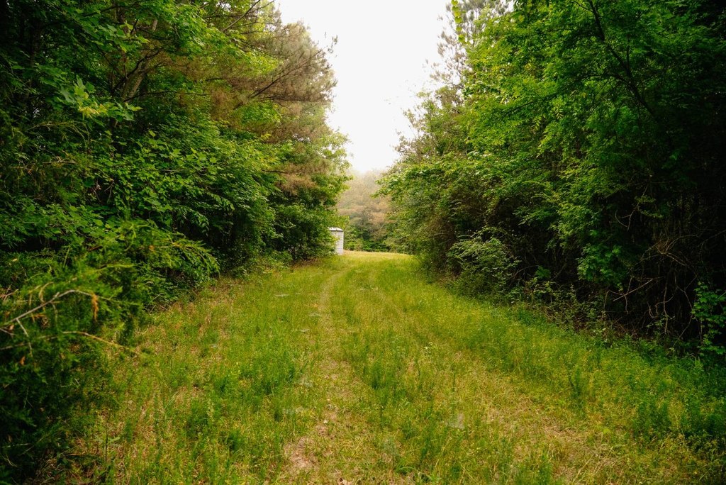 Picture 30