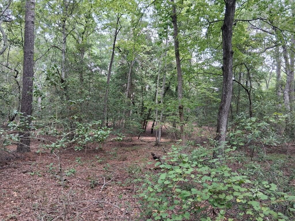 Picture 6