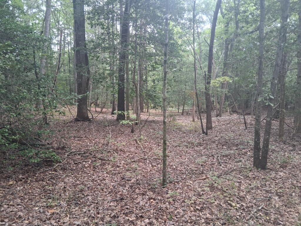 Picture 4