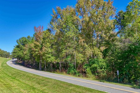 Lake Blalock Waterfront Land