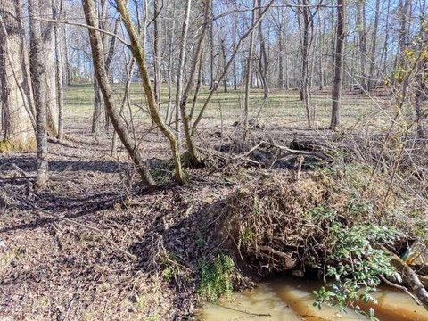 Creek-Front Lot in Blairsville, GA