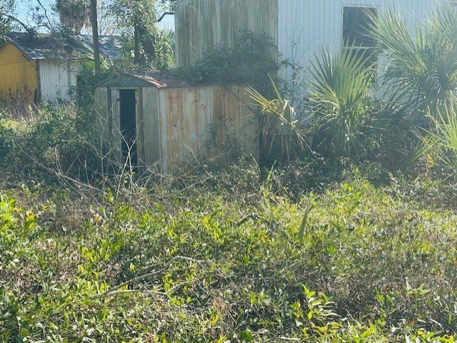 Picture 5