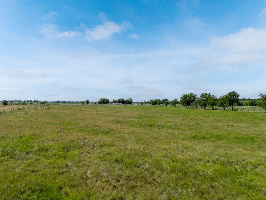 Picture 25