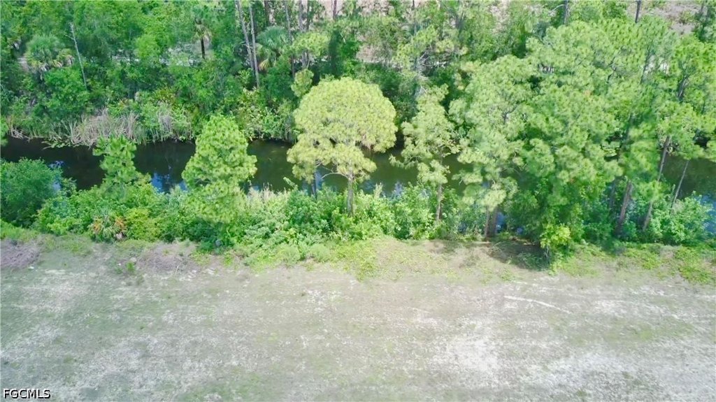 Picture 6