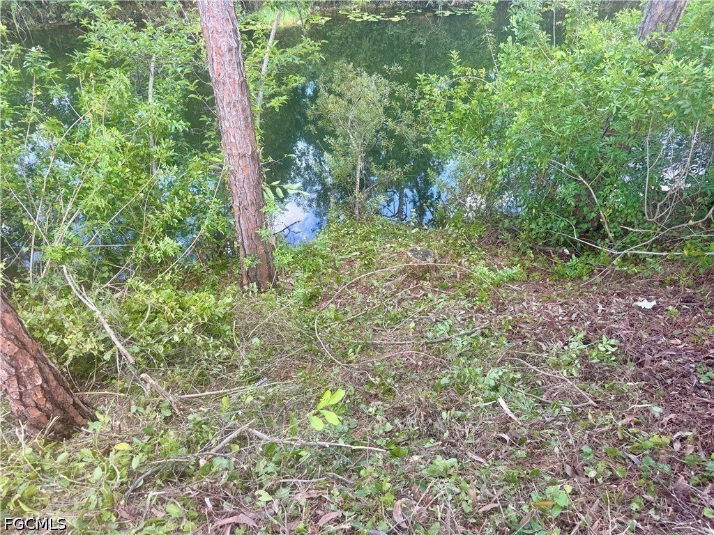 Picture 13