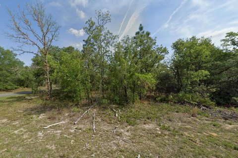 Residential Lot in Citrus Springs