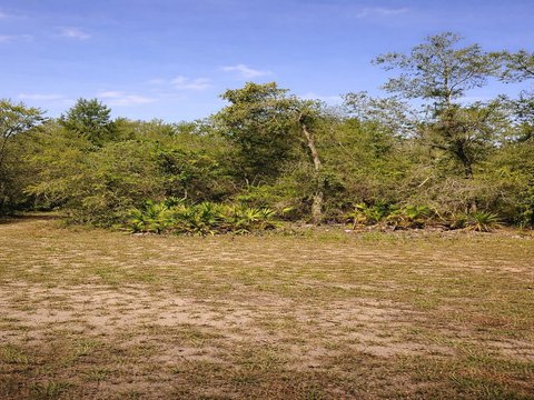 Residential Lot in Lake Wales