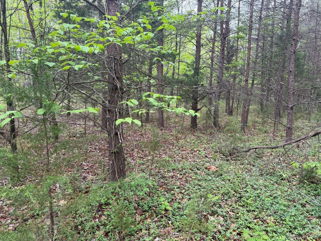 Picture 10