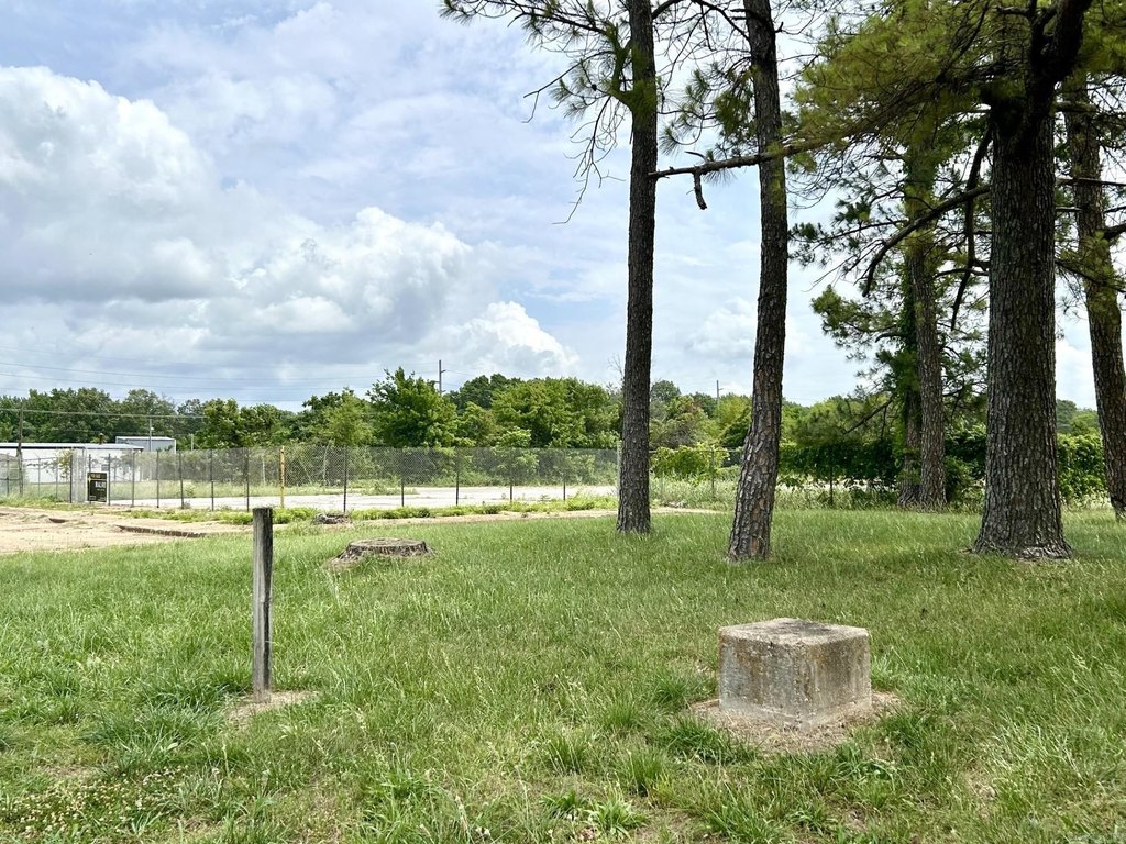 Picture 8