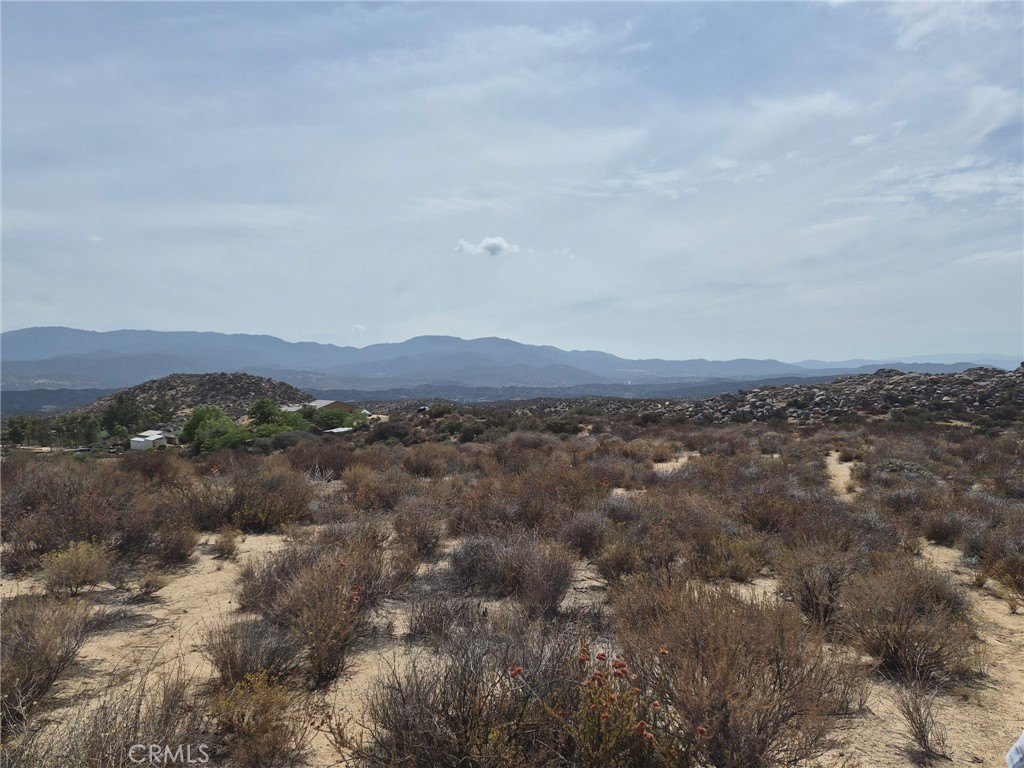 Picture 21
