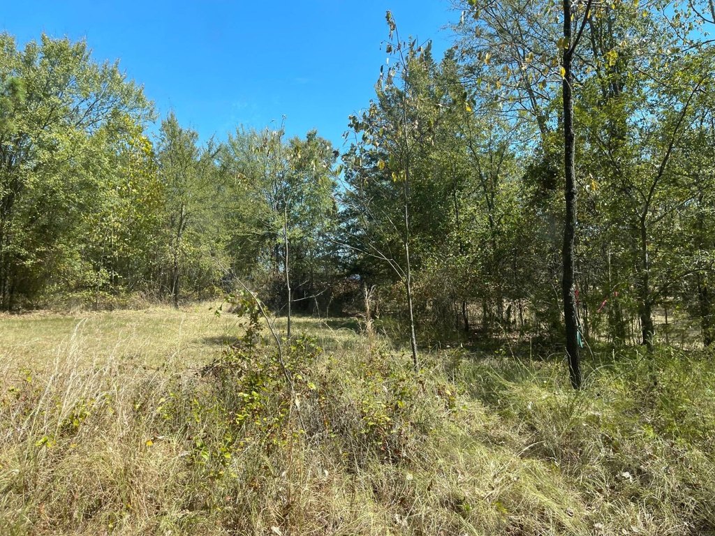 Picture 18