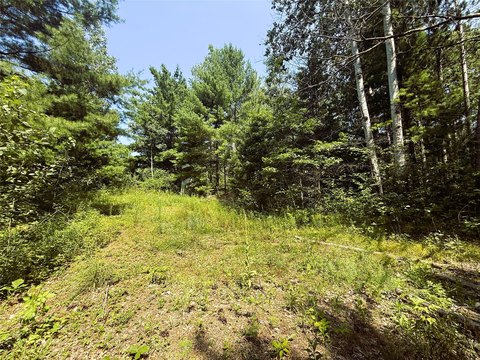 Waterfront Homesite with River Frontage