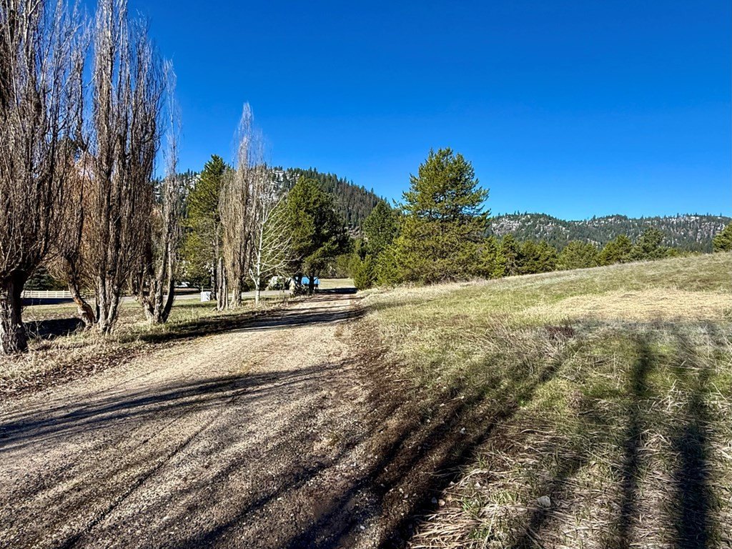 Picture 6